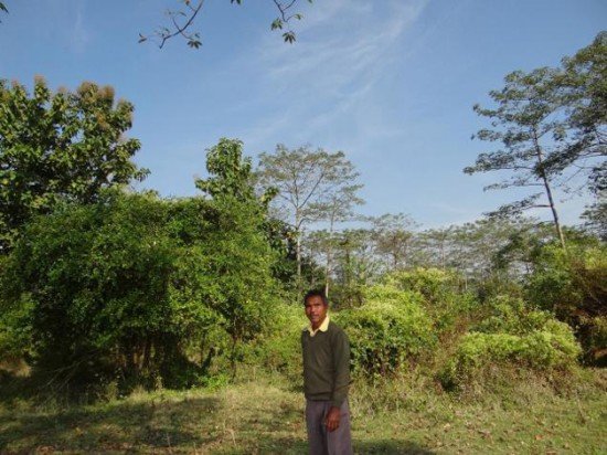 Jadav-Molai-Payeng-planta-floresta-sozinho2